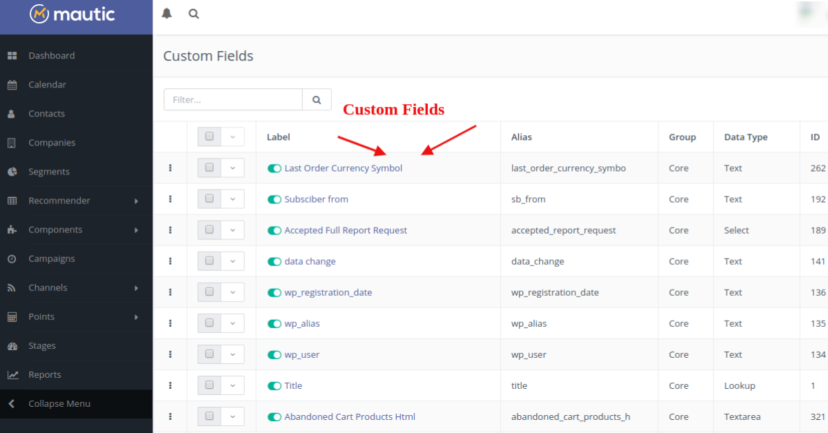Custom Fields in Mautic - Các lĩnh vực tùy chỉnh trong Mautic