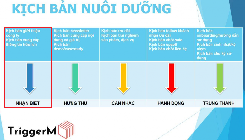 Triển khai Marketing Automation, bắt đầu từ đâu?