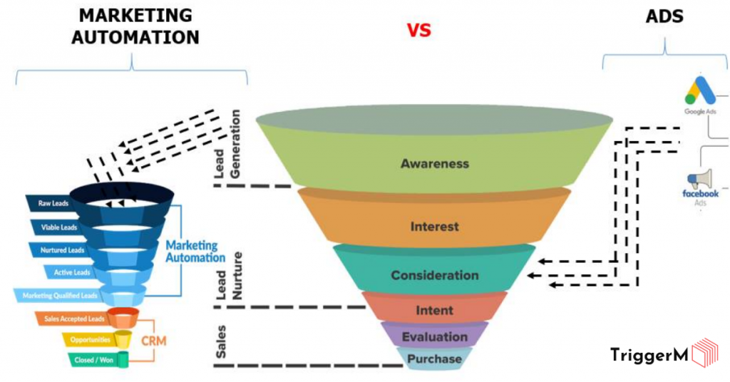 ADS-va-Marketing-automation