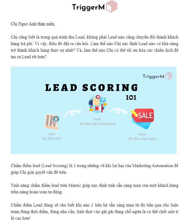 email giới thiệu công ty