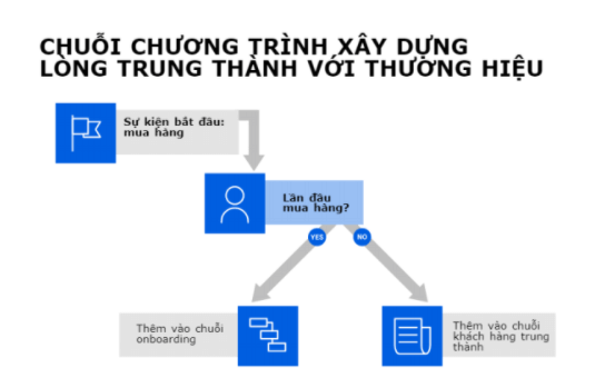 chuỗi email marketing automation