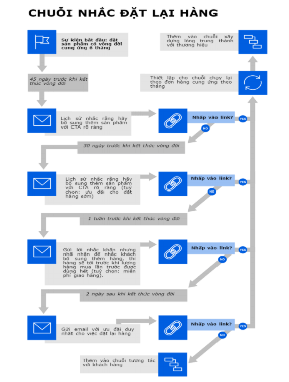 chuỗi email marketing automation
