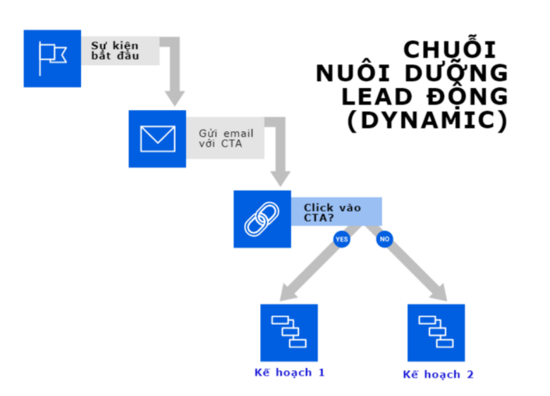 chuỗi email marketing automation