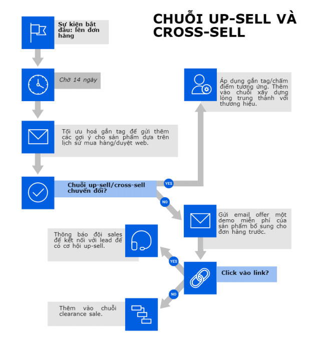 chuỗi email marketing automation