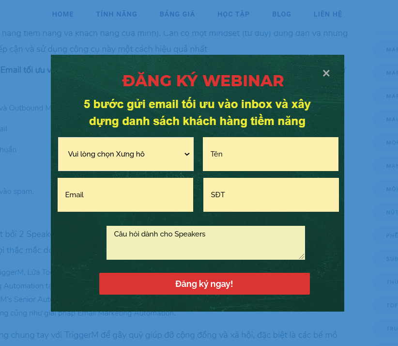 chiến lược thu lead từ website