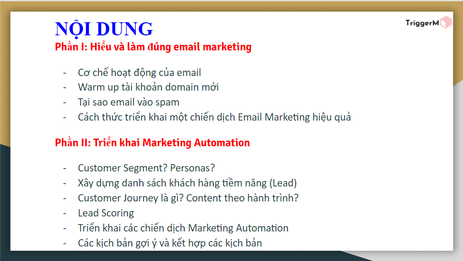 webinar triển khai automation marketing