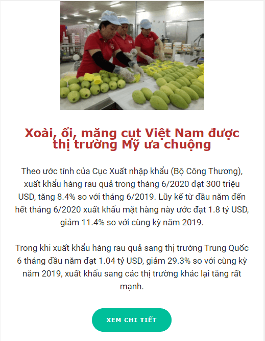  Marketing Automation cho B2B